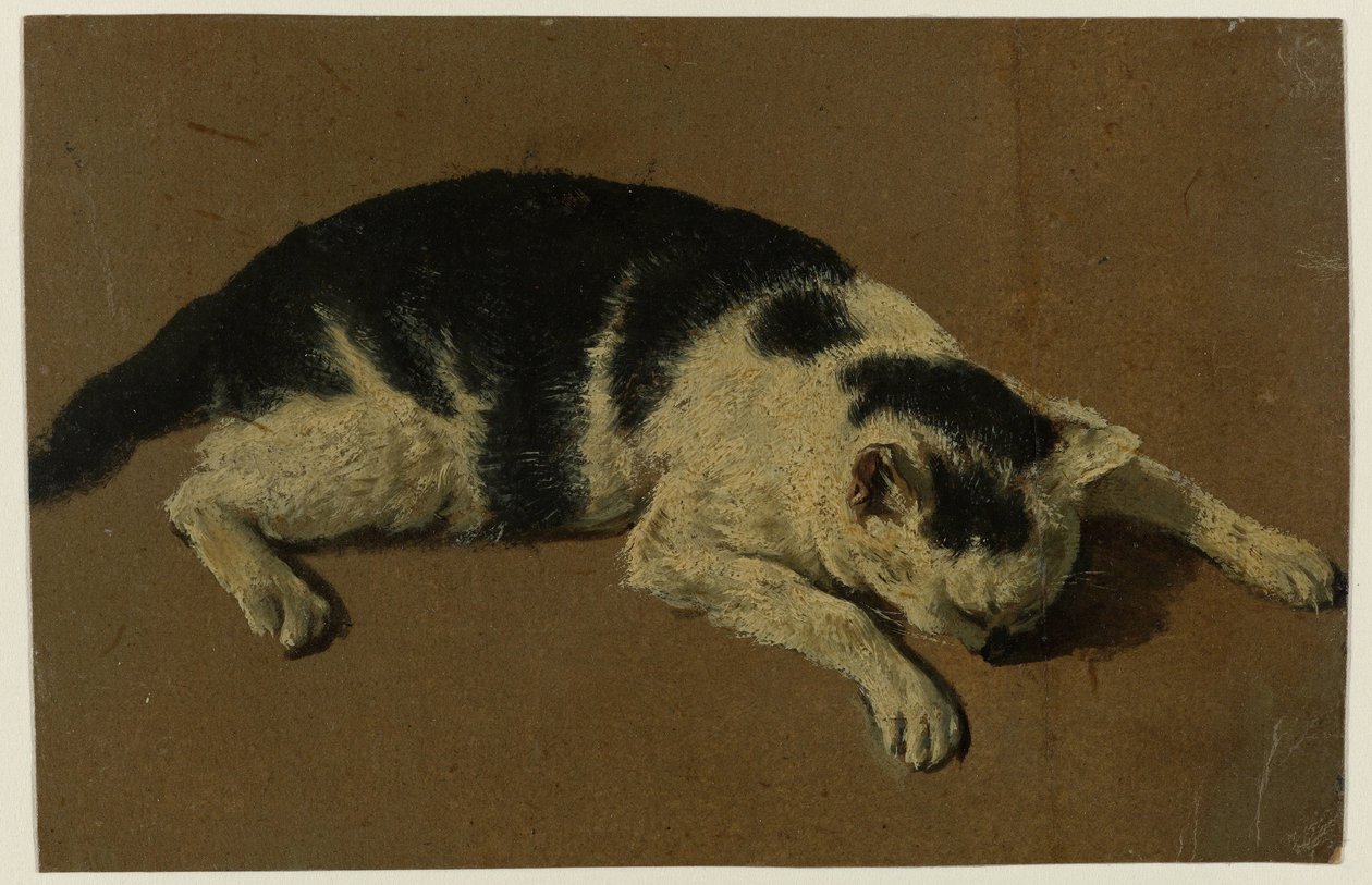 Kot leżący z głową między przednimi nogami autorstwa Adriaen van de Velde (attributed to)