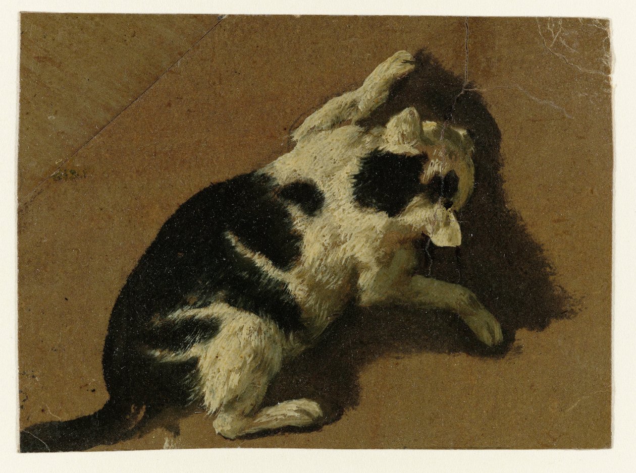 Kot bawiący się przy ścianie autorstwa Adriaen van de Velde (attributed to)