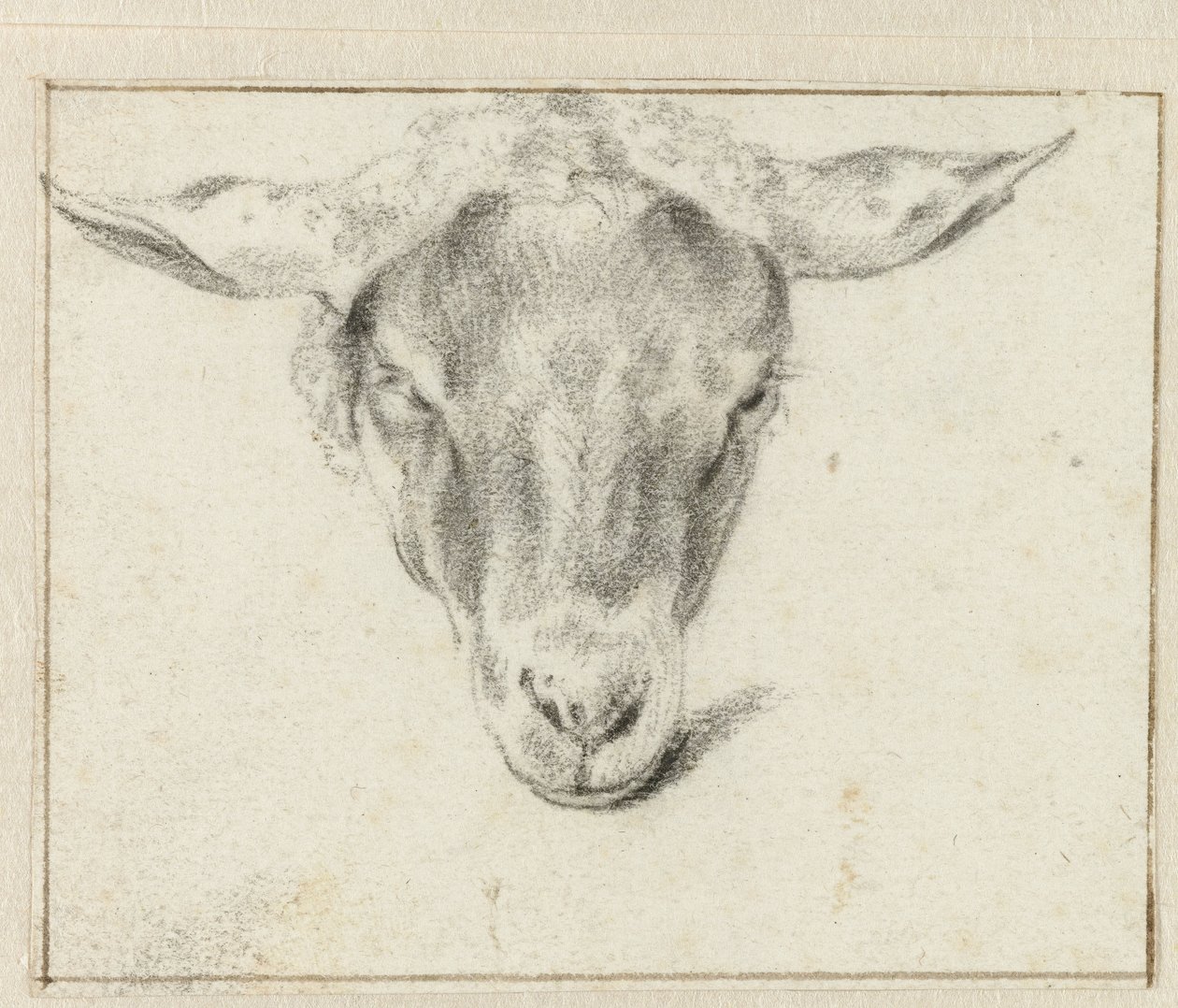 Głowa owcy, od przodu autorstwa Adriaen van de Velde (attributed to)