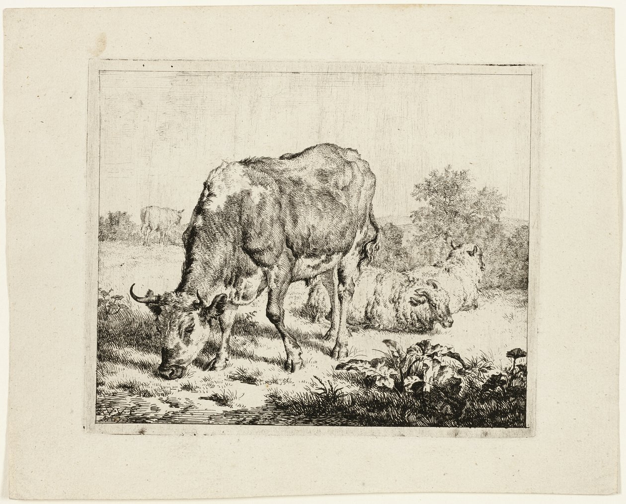 Wypas byka i trzy owce autorstwa Adriaen van de Velde
