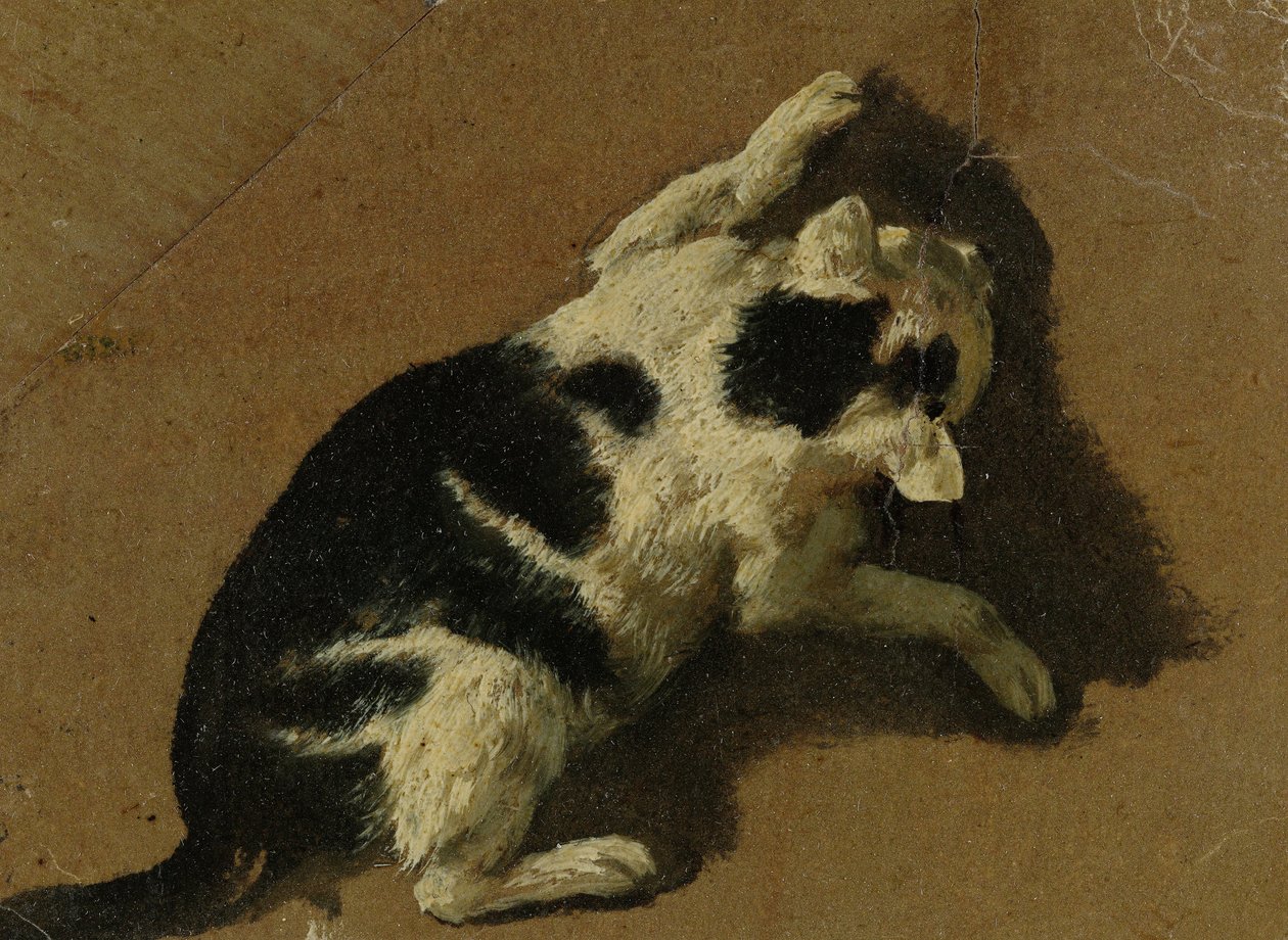 Bawiący się kot (rysunek pędzlem) autorstwa Adriaen van de Velde