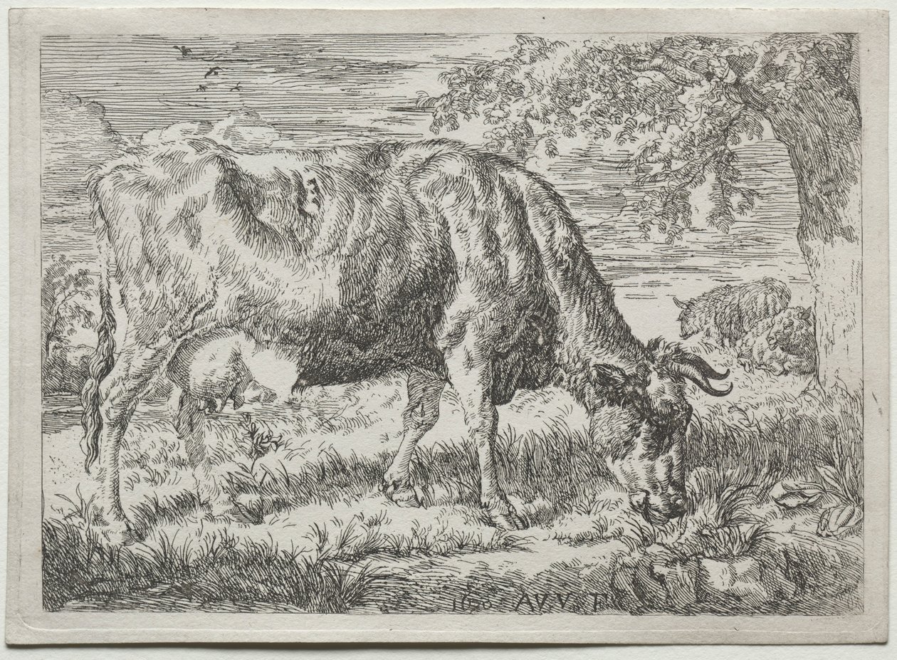 Krowa i dwie owce u stóp drzewa, 1670. autorstwa Adriaen van de Velde