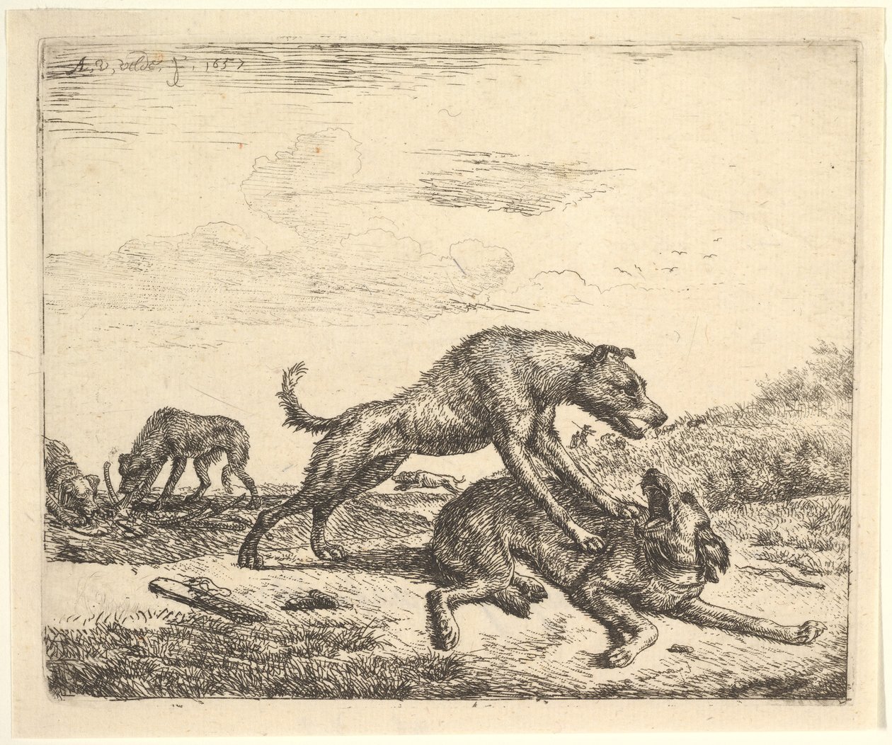 Bojowe psy, z różnych zwierząt, 1657. autorstwa Adriaen van de Velde