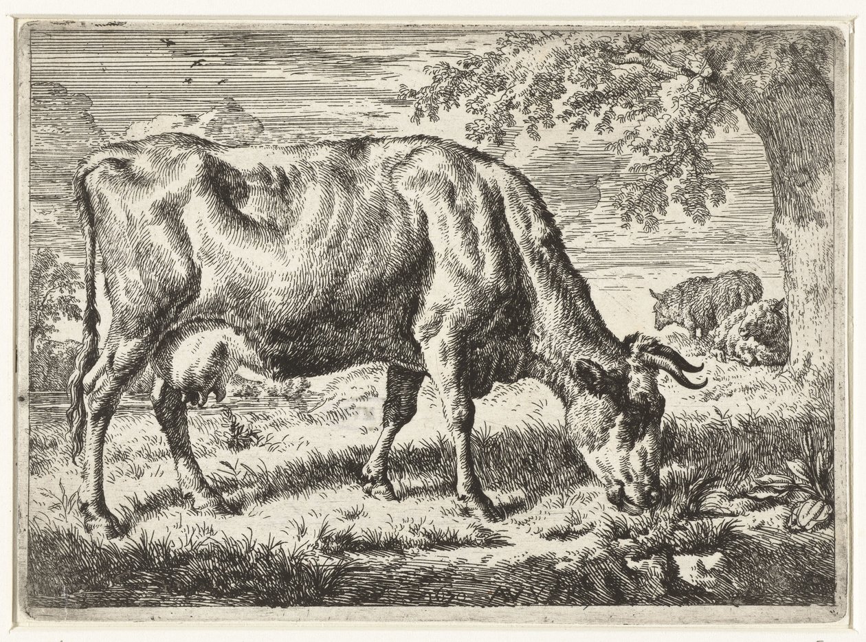 Wypas krowy i dwie owce Krowy i owce (tytuł serii) autorstwa Adriaen van de Velde