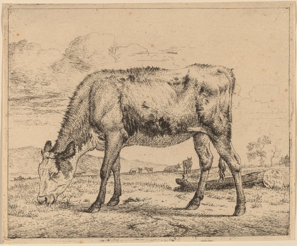 Wypas cieląt autorstwa Adriaen van de Velde