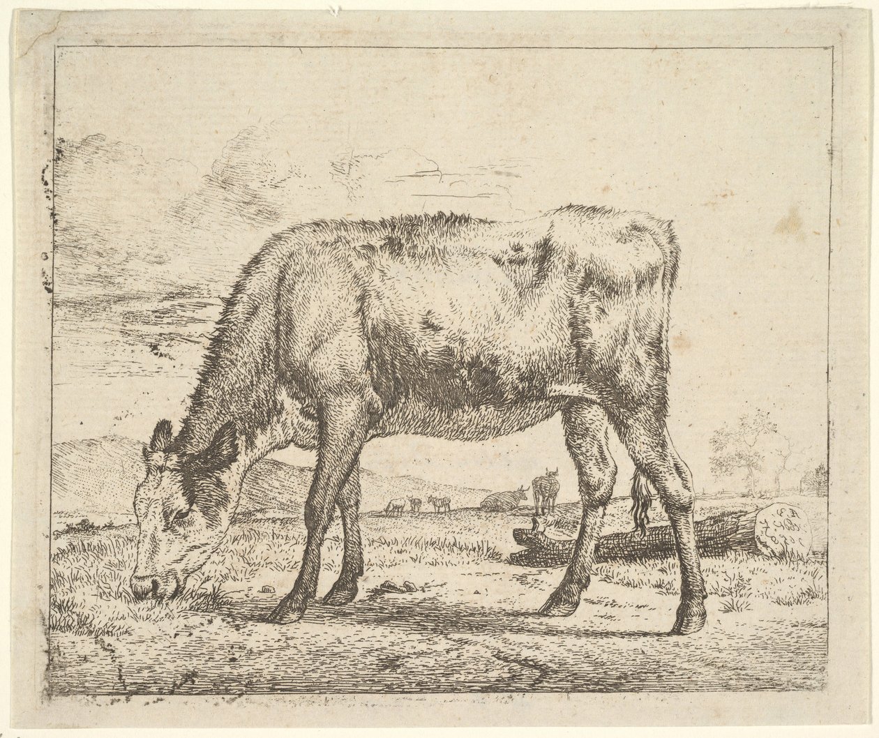 Cielę pasące się z różnych zwierząt, 1658. autorstwa Adriaen van de Velde
