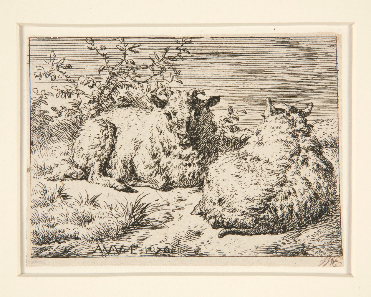 Dwie owce autorstwa Adriaen van de Velde