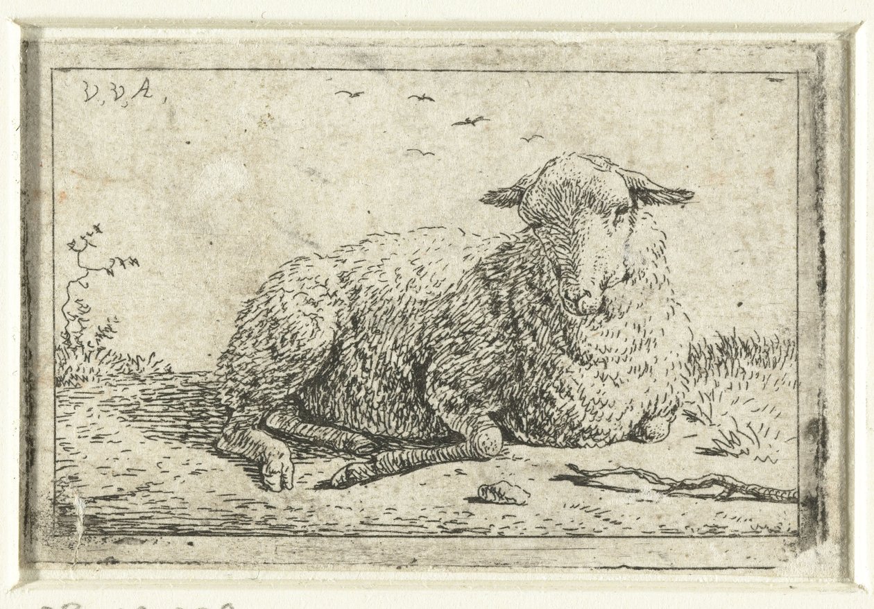 leżące owce autorstwa Adriaen van de Velde
