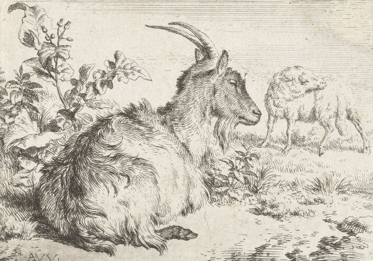 Leżąca koza, 1670 autorstwa Adriaen van de Velde