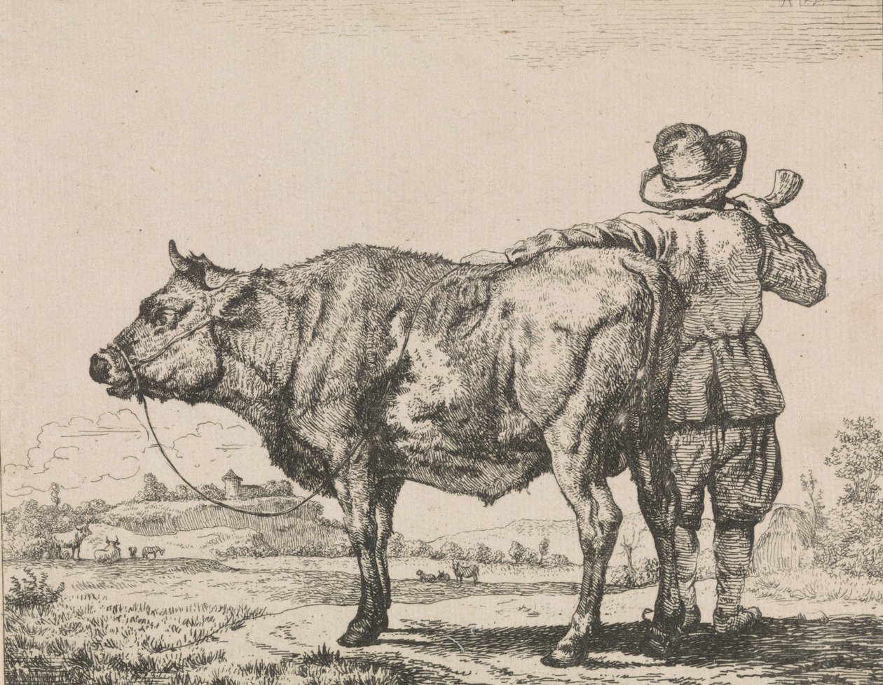 Człowiek stojący z bykiem autorstwa Adriaen van de Velde