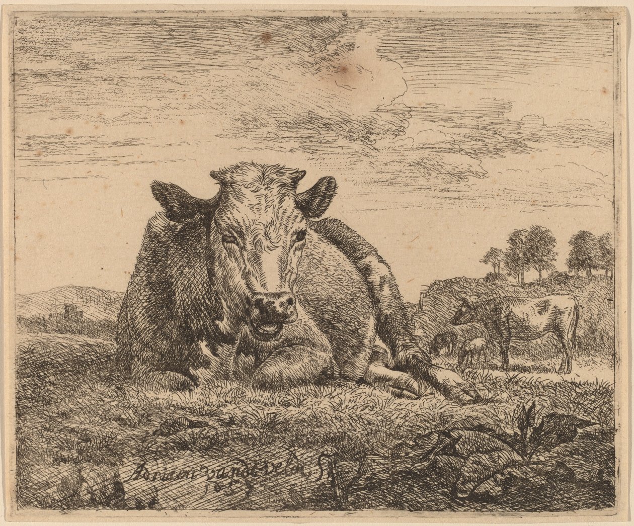 Krowa leżąca autorstwa Adriaen van de Velde