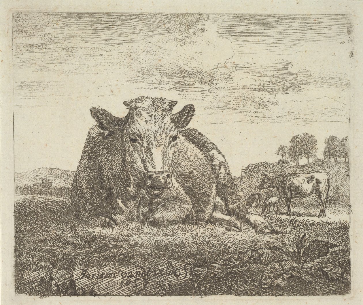 Krowa leżąca, z różnych zwierząt, 1657. autorstwa Adriaen van de Velde