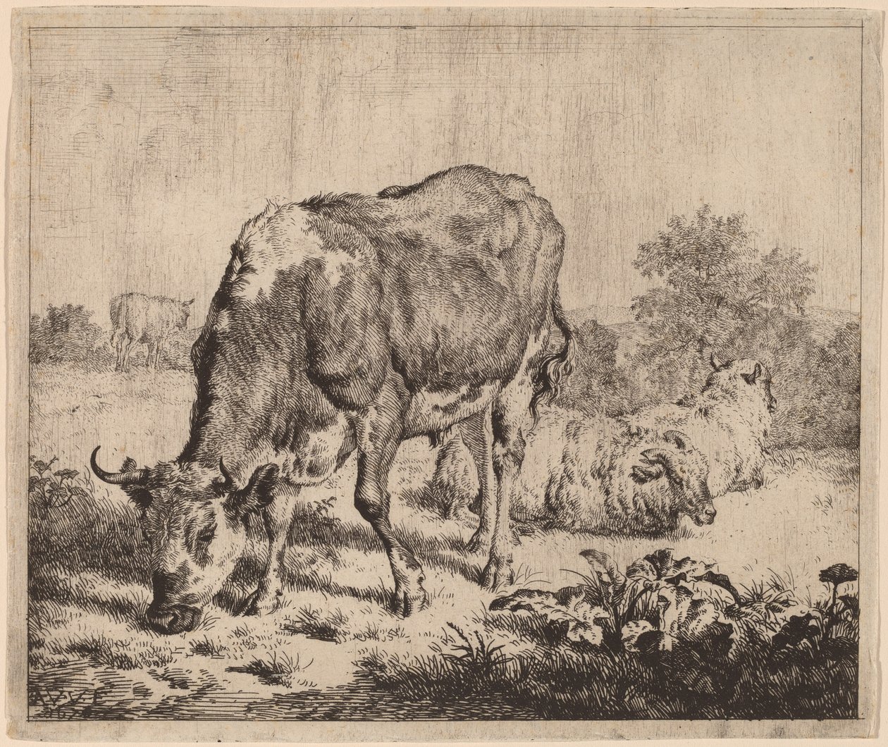 Cętkowany Byk i Trzy Owce autorstwa Adriaen van de Velde