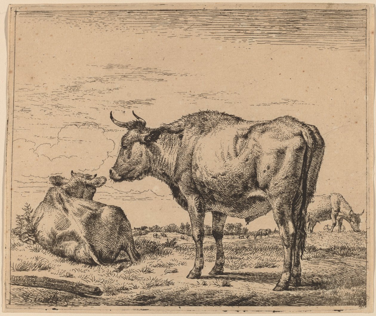 Stojący byk autorstwa Adriaen van de Velde