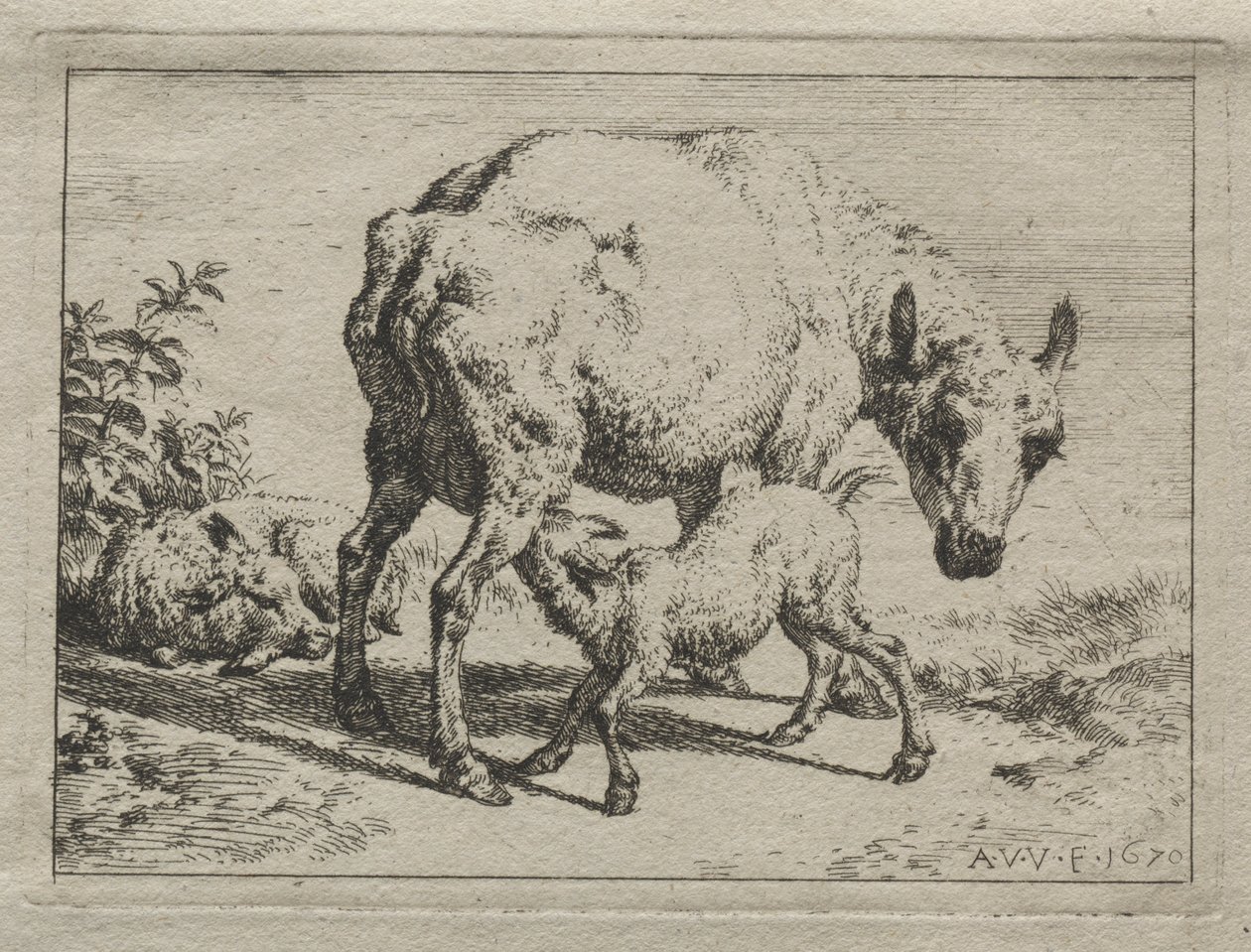 Owce i dwa baranki, 1670. autorstwa Adriaen van de Velde