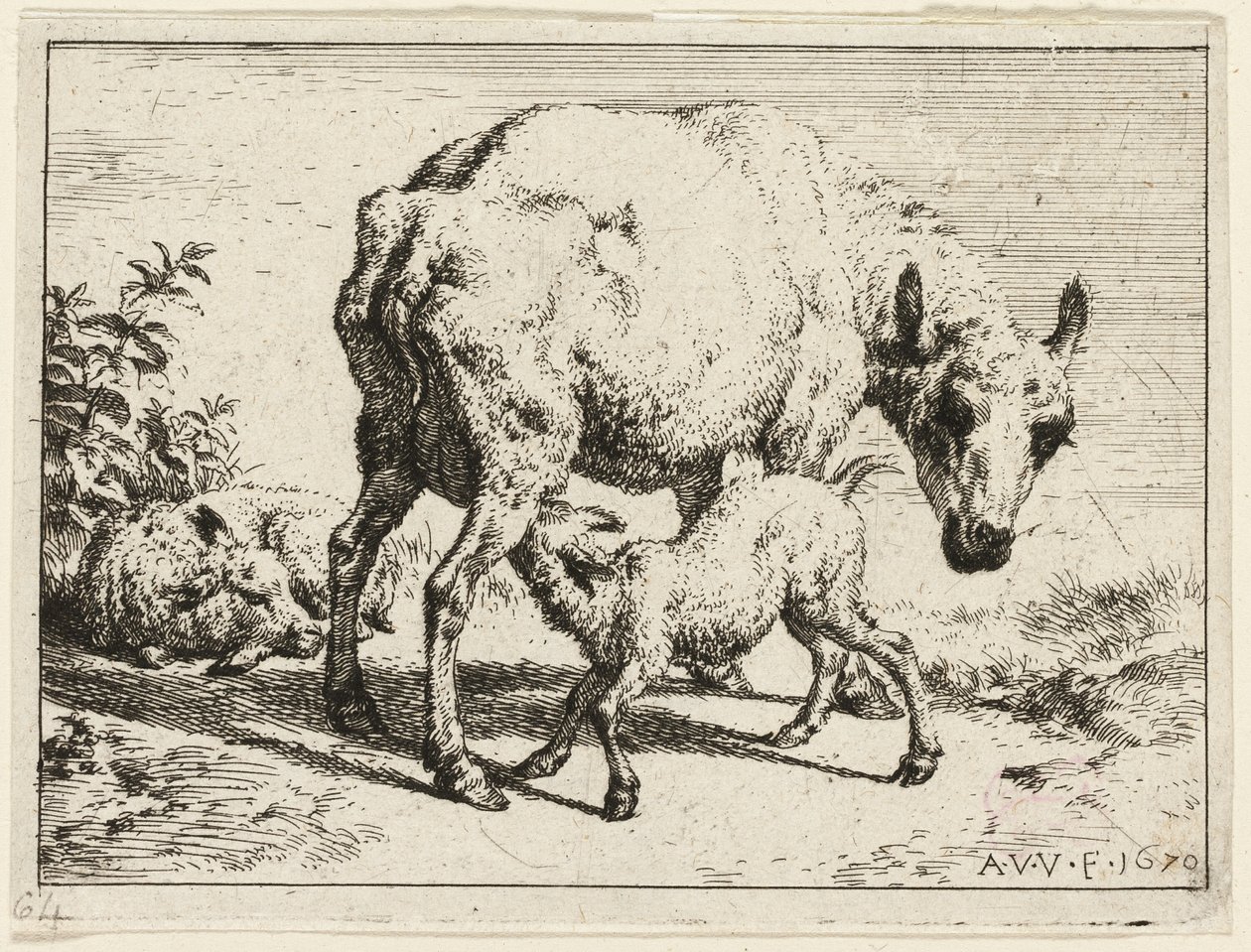 Jagnię autorstwa Adriaen van de Velde