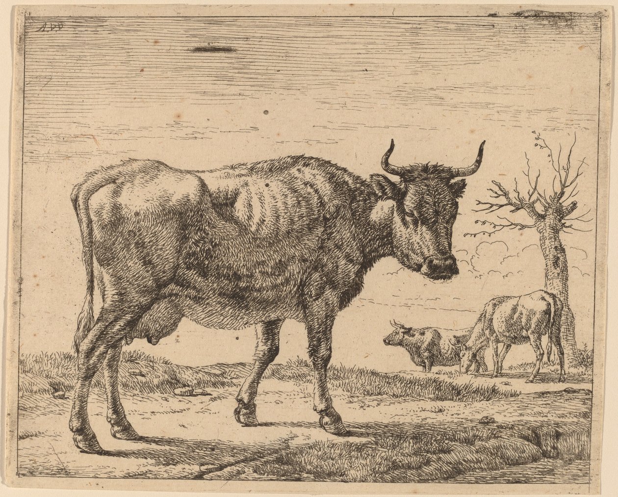Trzy krowy autorstwa Adriaen van de Velde