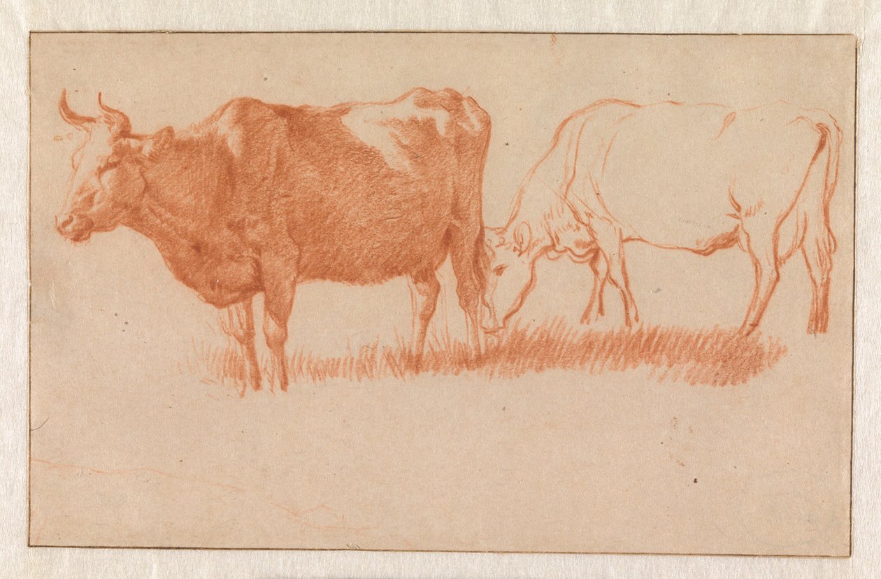 Dwie krowy autorstwa Adriaen van de Velde