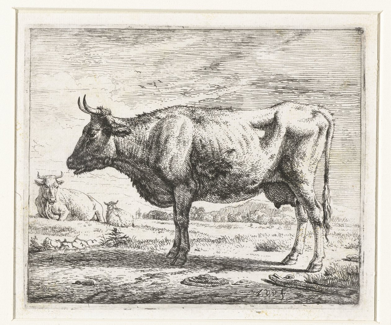 Dwie krowy i owca Różne zwierzęta (tytuł serii) autorstwa Adriaen van de Velde