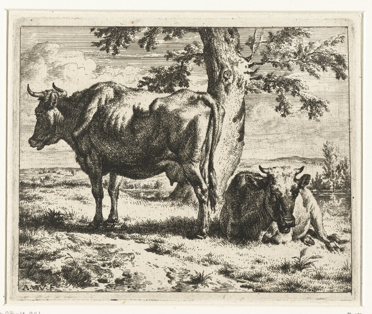 Dwie krowy pod drzewem Krowy i owce (tytuł serii) autorstwa Adriaen van de Velde