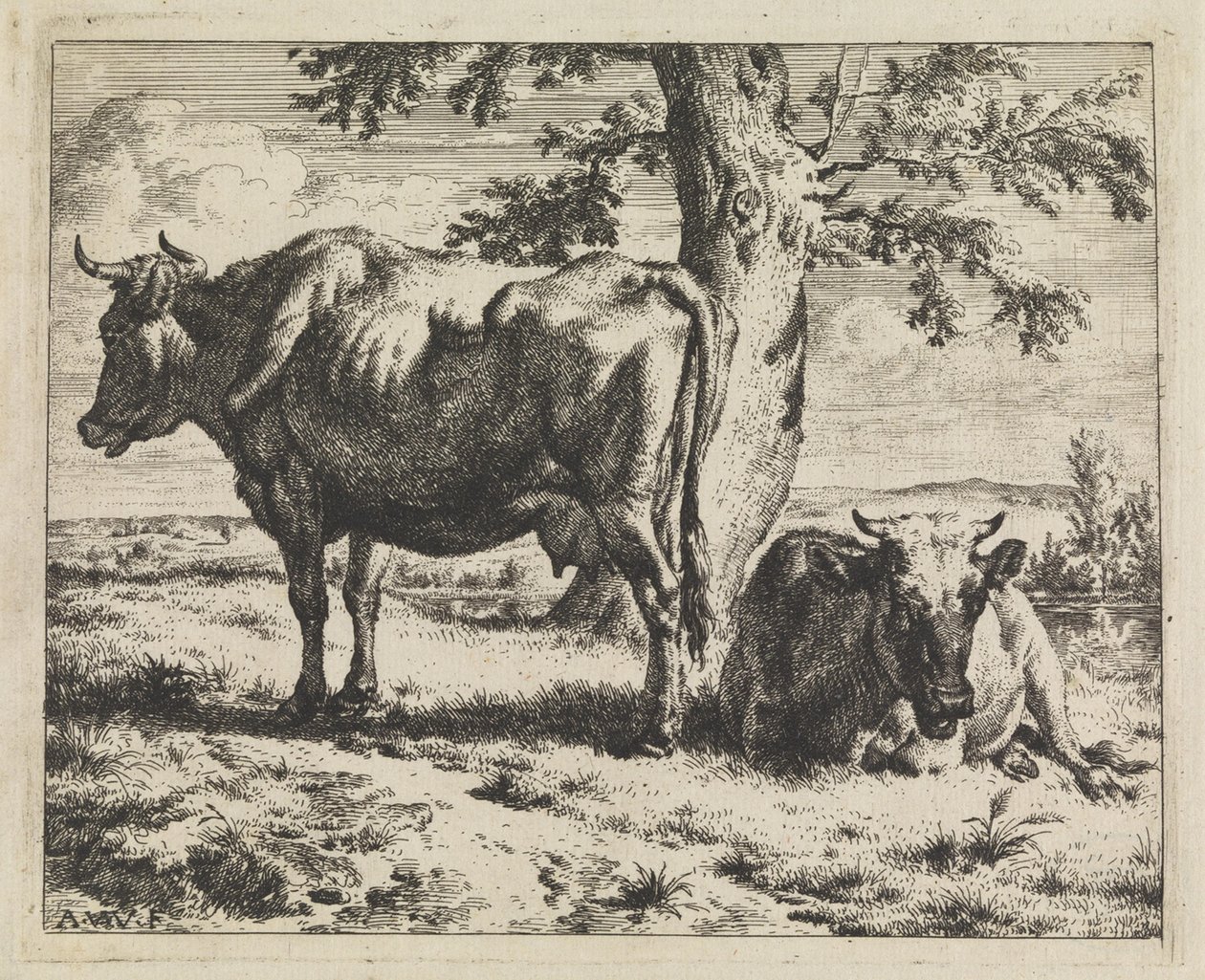 Dwie krowy pod drzewem autorstwa Adriaen van de Velde
