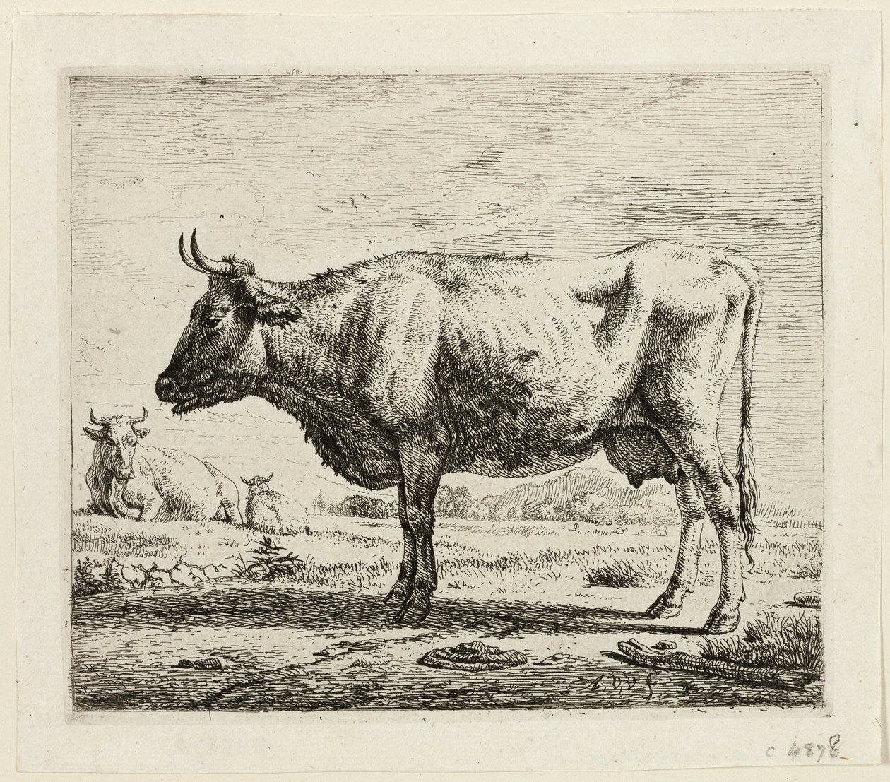 Dwie krowy i owca autorstwa Adriaen van de Velde