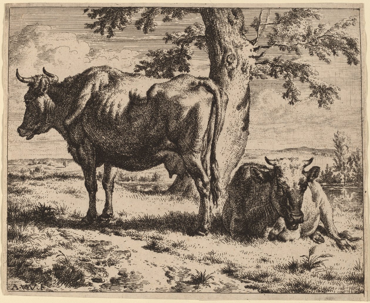 Dwie krowy pod drzewem autorstwa Adriaen van de Velde