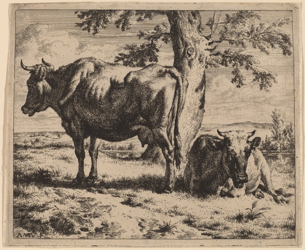Dwie krowy pod drzewem autorstwa Adriaen van de Velde