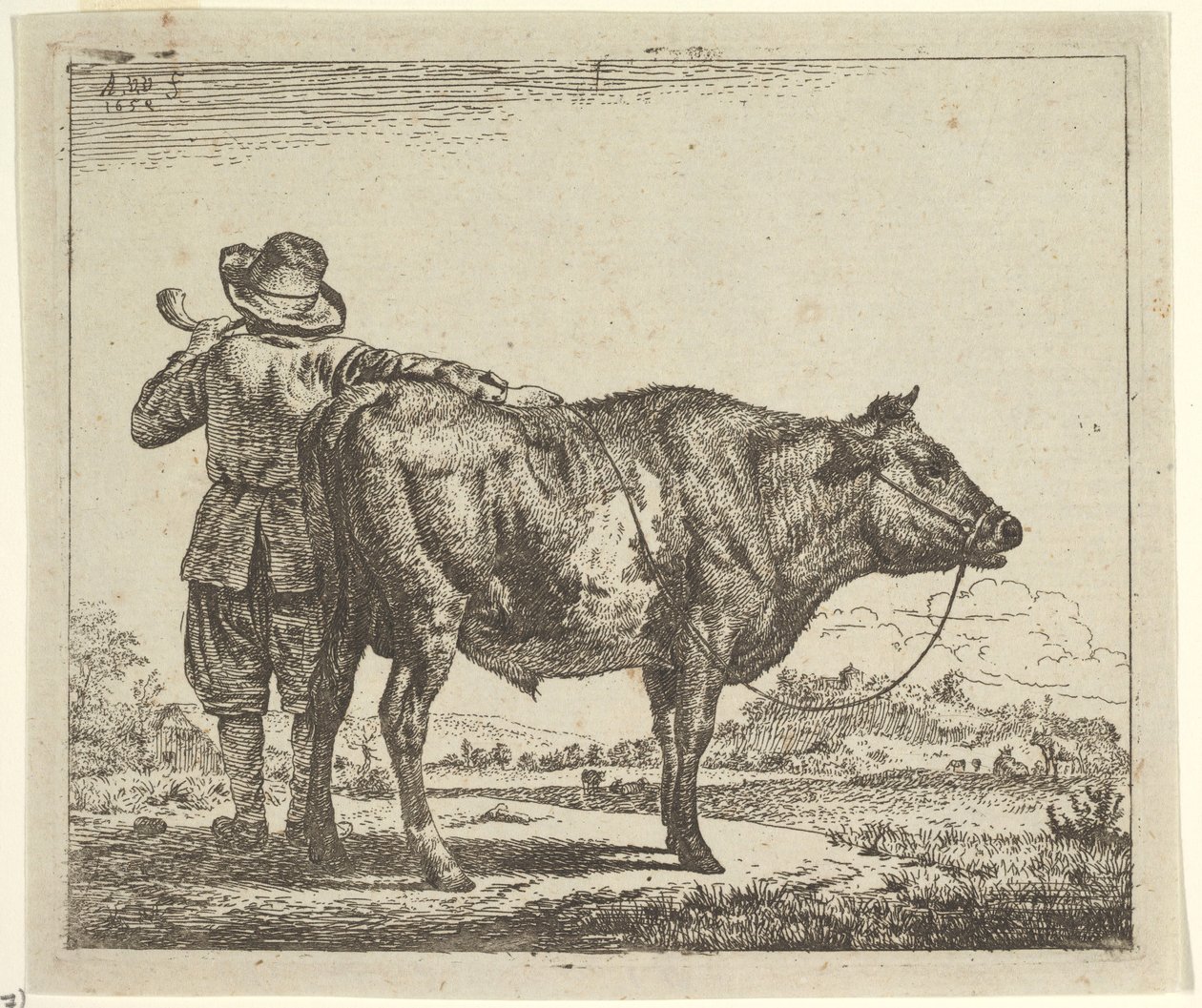 Młody pasterz z bykiem, z różnych zwierząt, 1659. autorstwa Adriaen van de Velde