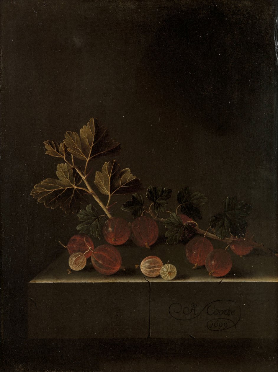 Gałązka agrestu na kamiennym cokole, 1699 autorstwa Adrian Coorte