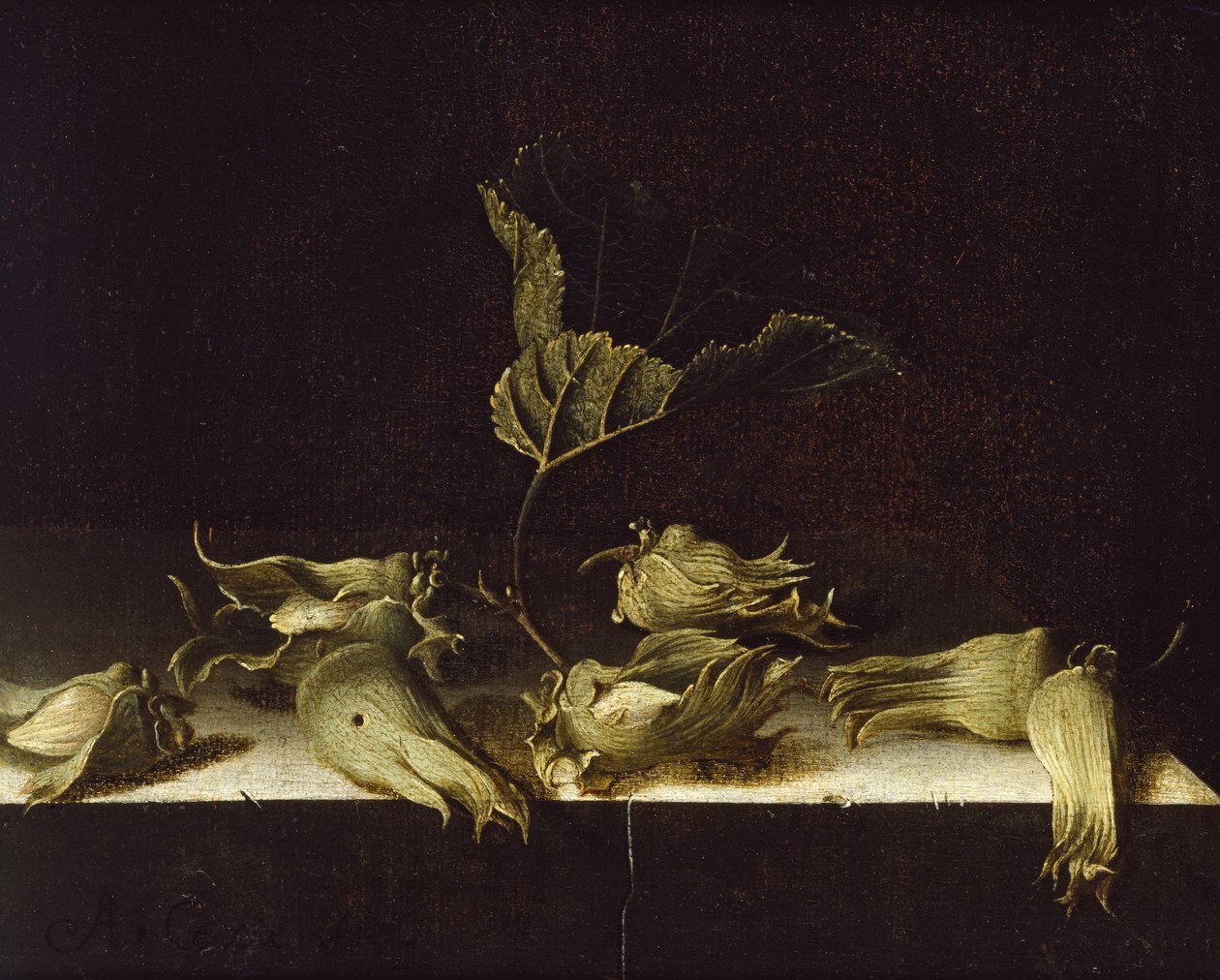 Martwa natura z orzechami laskowymi, 1696 (olej na papierze) autorstwa Adrian Coorte