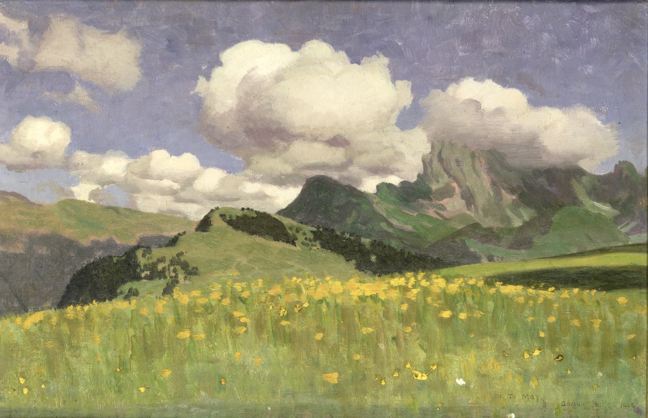 Pole nagietków, Alpy Dolne, 1902 autorstwa Adrian Scott Stokes