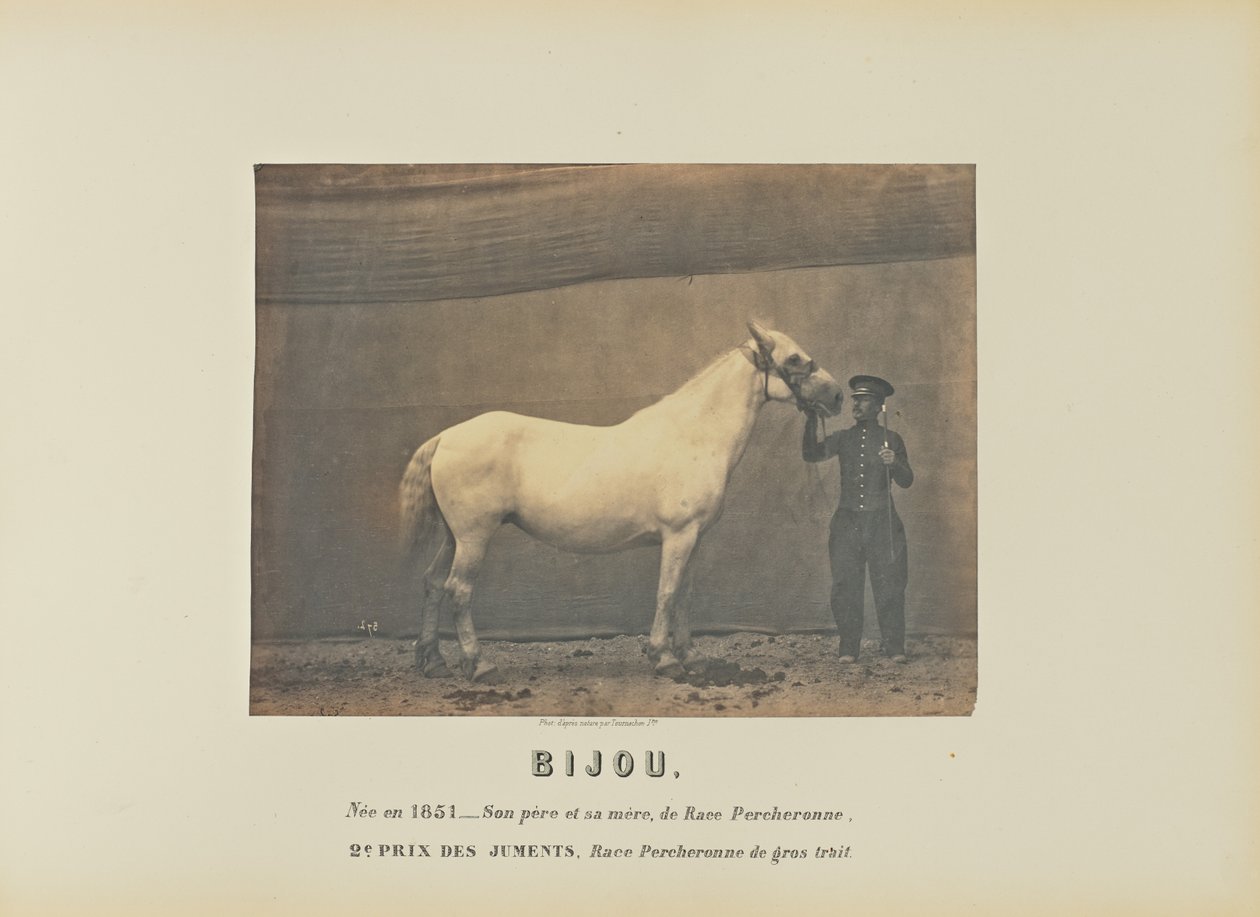 Bijou autorstwa Adrien Alban Tournachon
