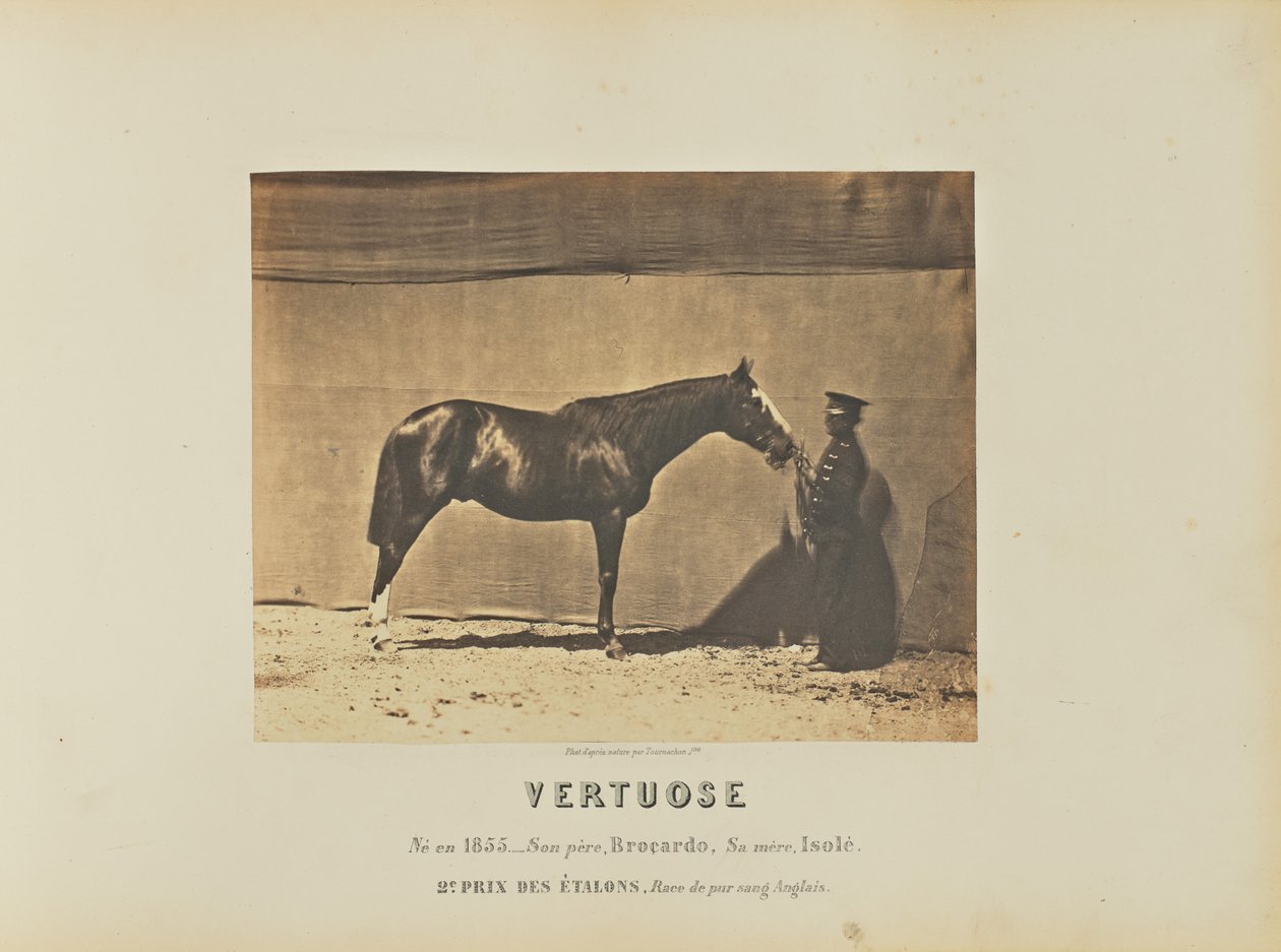 W Vertuose autorstwa Adrien Alban Tournachon