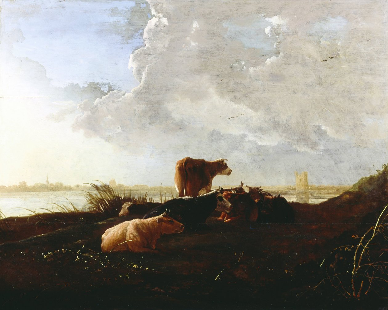 Bydło w pobliżu rzeki autorstwa Aelbert Cuyp