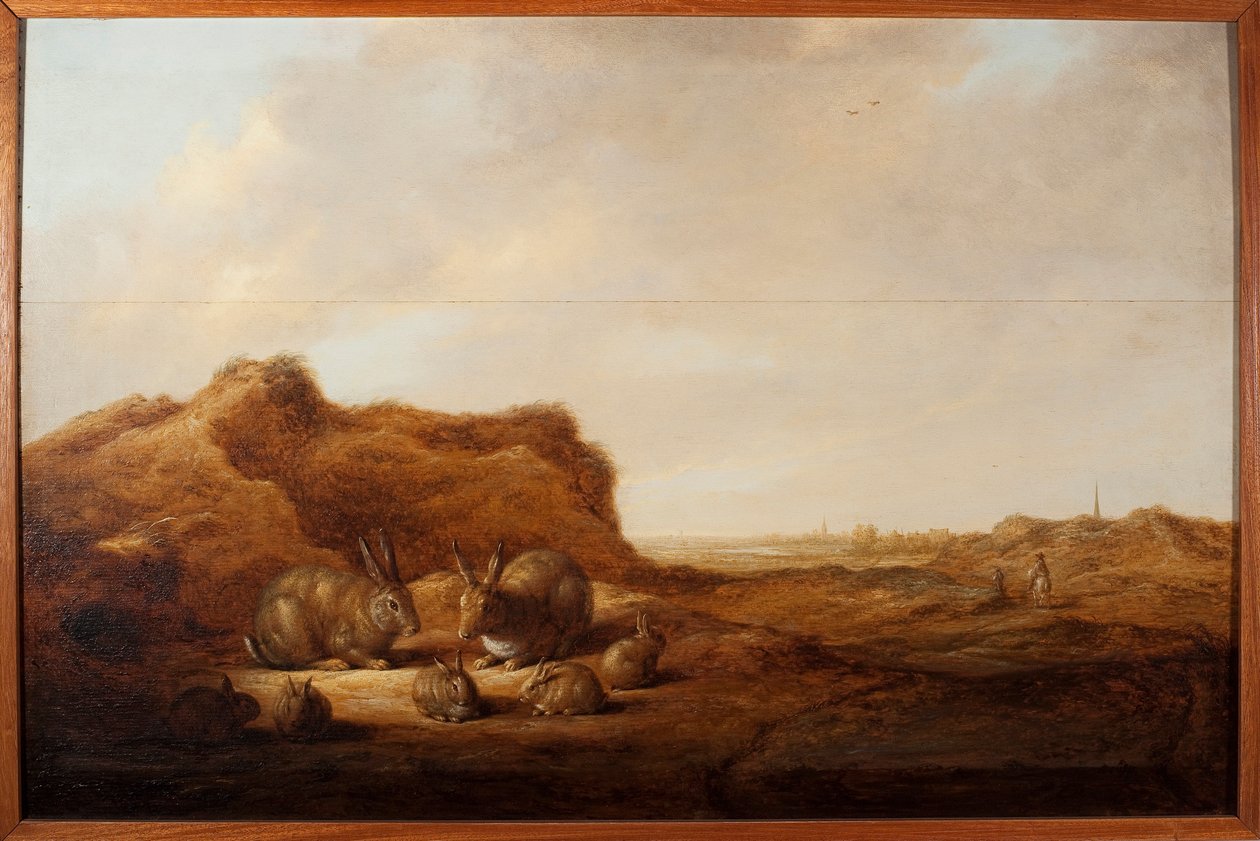 Krajobraz z królikami Obraz Alberta (Aelberta lub Aelbrechta) Cuypa (1620-1691) 1641-1642 wym.44x67 cm Genes, Musei di Strada Nuova (ex Palazzo Rosso) autorstwa Aelbert Cuyp