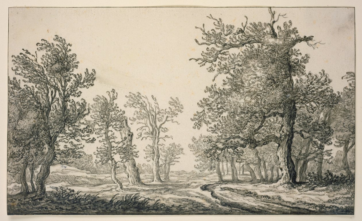 Ścieżka przez las dębowy autorstwa Aelbert Cuyp