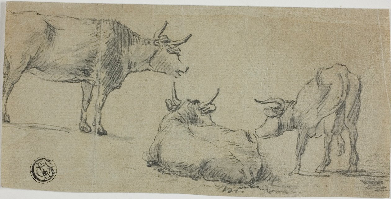 Trzy szkice krów autorstwa Aelbert Cuyp
