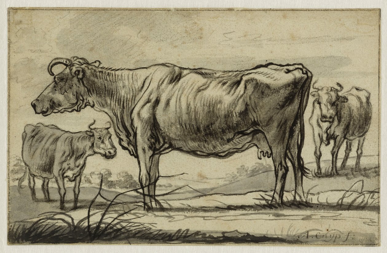 Trzy krowy na pastwisku (Lugt 16) autorstwa Aelbert Cuyp