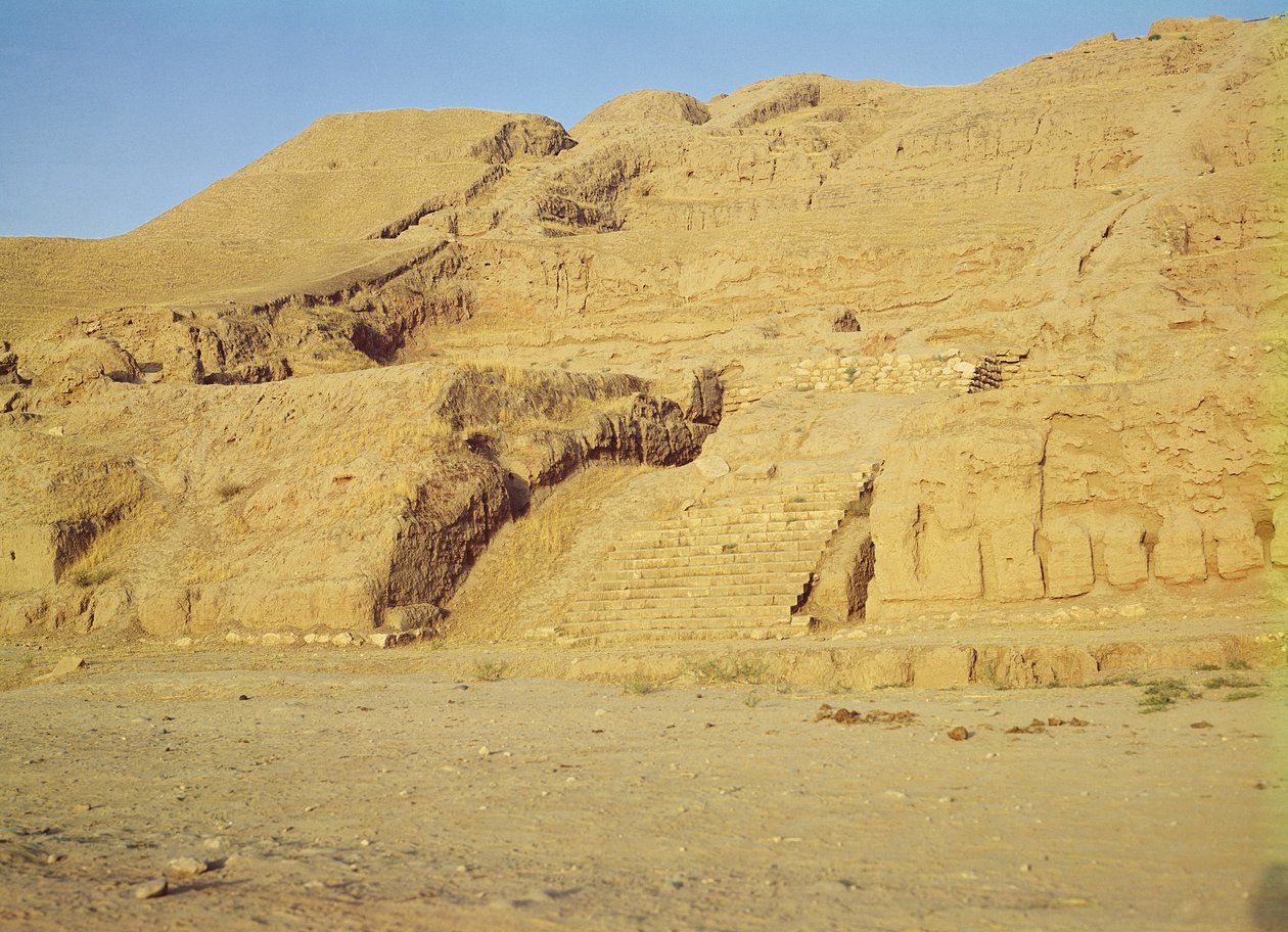 Widok na schody, tarasy i świątynię Zoroastrian autorstwa Afghan School