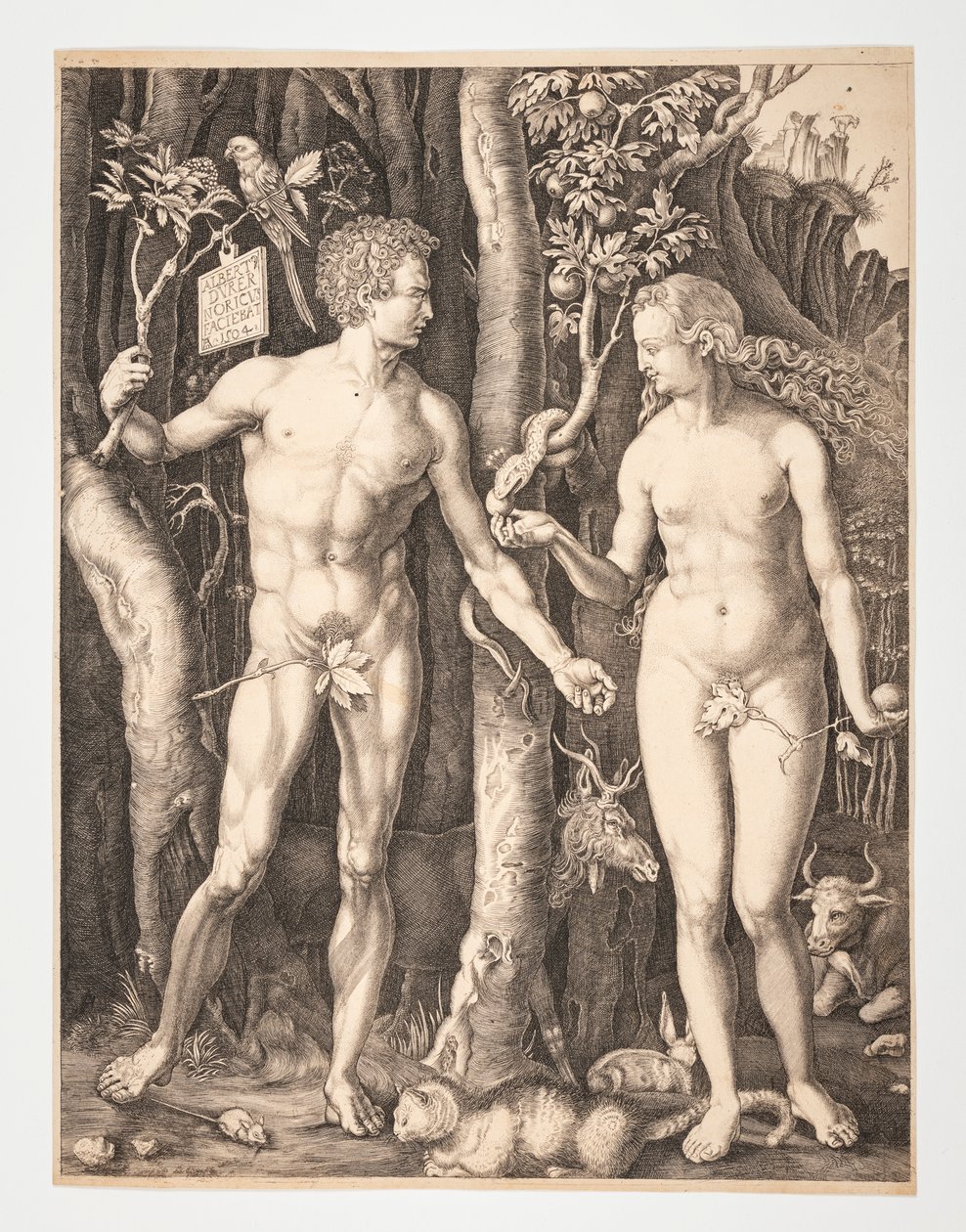 Adam i Ewa w rajskim ogrodzie - Albrecht Durer - 20-1932-109 autorstwa After Albrecht Dürer