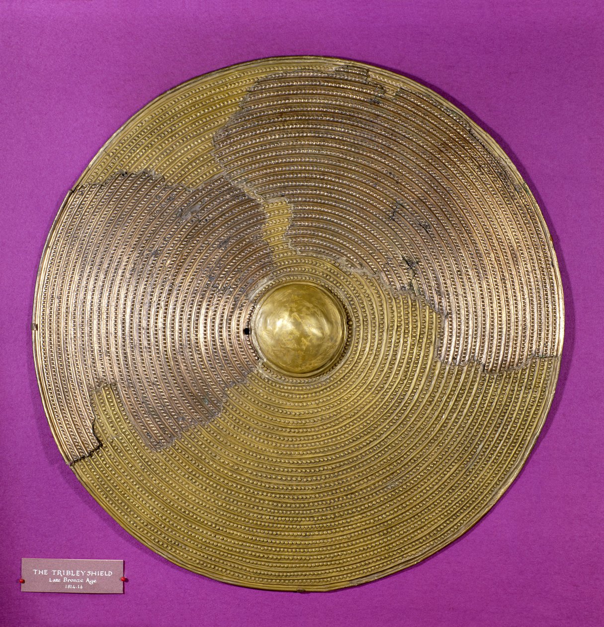 Tarcza z Tribley, późna epoka brązu (brąz) autorstwa Age Bronze