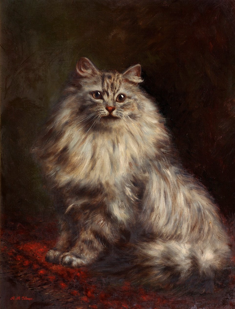 Kot perski, ok. 1908-20 autorstwa Agnes Augusta Talboys