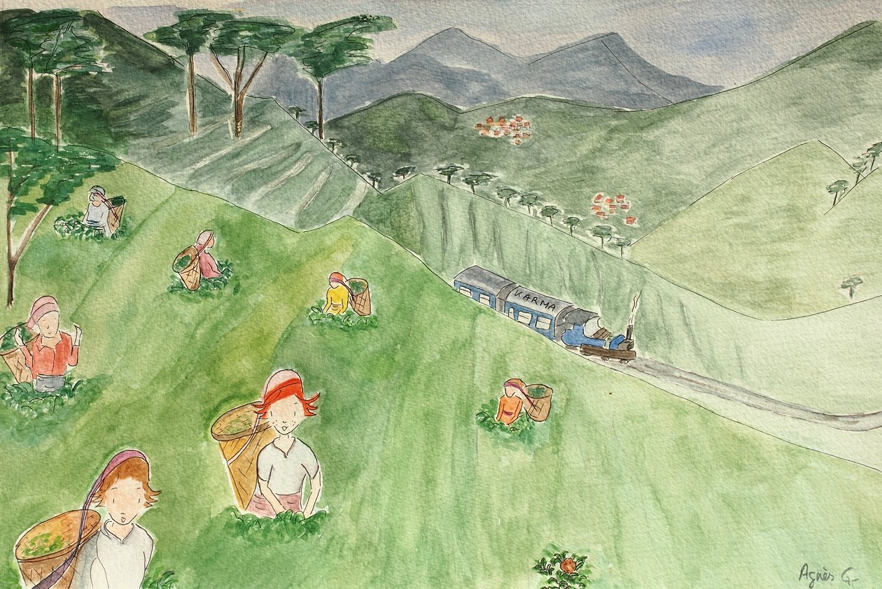 Podróż, Darjeeling 2015, akwarela na papierze autorstwa Agnes Girardon