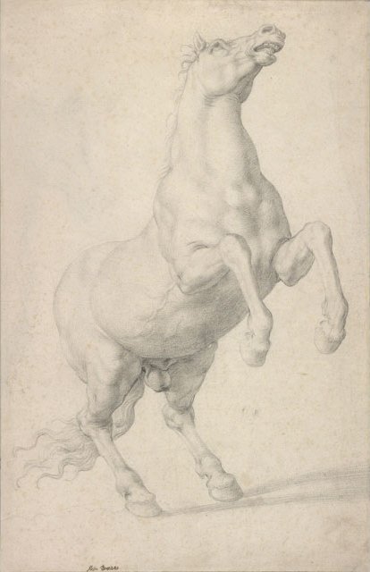 Hodowla konia autorstwa Agnolo Bronzino