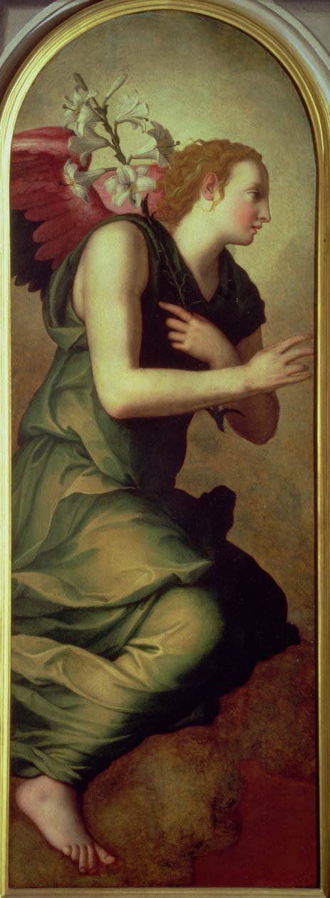 Archanioł Gabriel, lewy panel Zwiastowania, 1555 (patrz także 82441) autorstwa Agnolo Bronzino