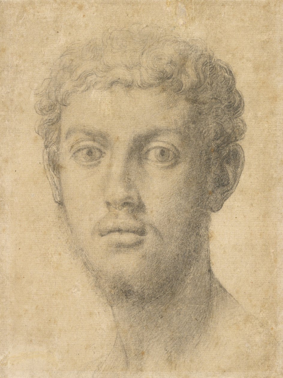 Głowa mężczyzny autorstwa Agnolo Bronzino