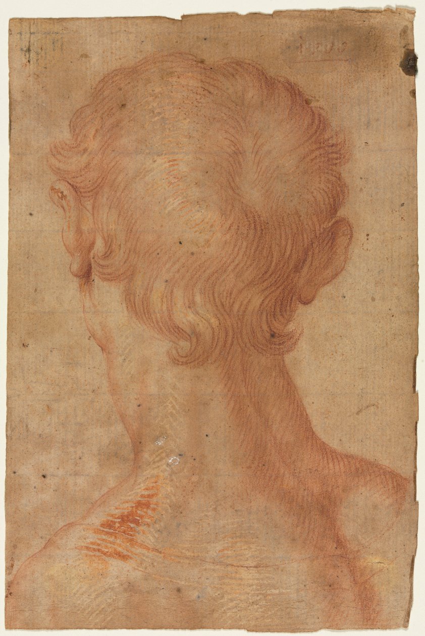 Männerkopf von hinten autorstwa Agnolo Bronzino