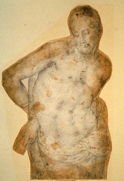 Chrystus przy kolumnie (kreda na papierze) autorstwa Agnolo Bronzino