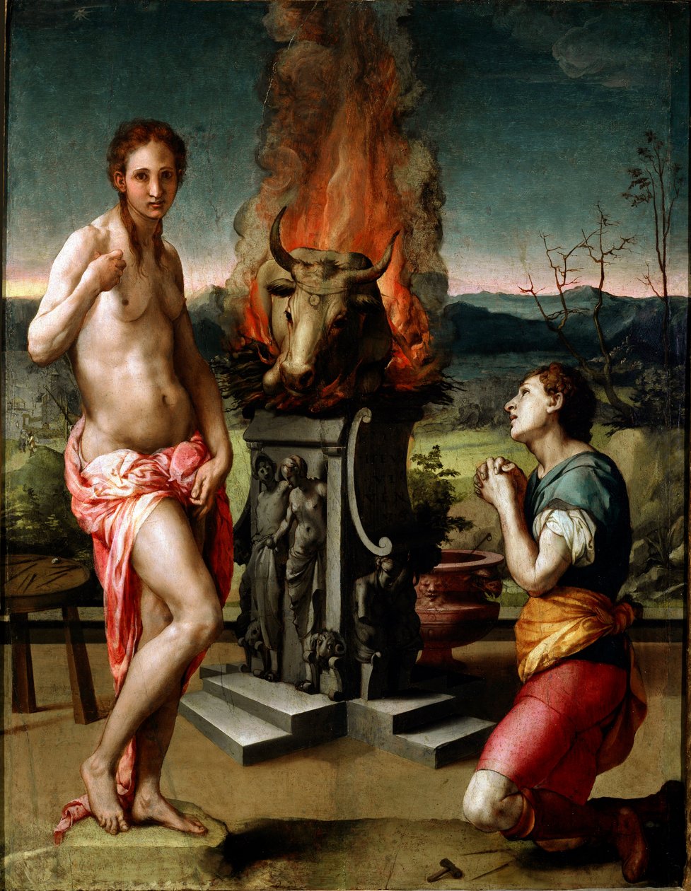 Pigmalion i Galatee (lub Galathee) Obraz Agnolo di Cosimo di Mariano w Il Bronzino (1502-1572) 1529-1530 Ndz. 81x63 cm Florencja, Galleria degli Uffizi (Muzeum Uffizi) autorstwa Agnolo Bronzino